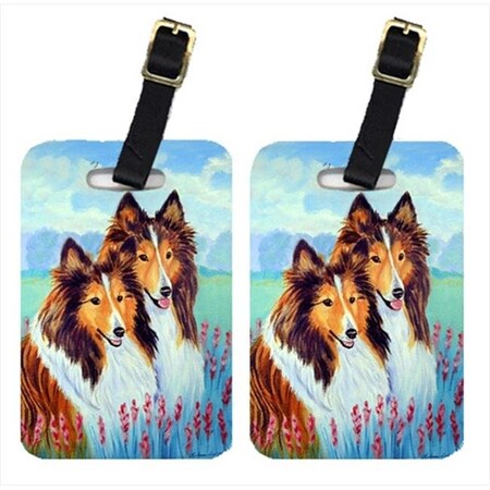 Carolines Treasures Carolines Treasures 7086BT Two Sable Shelties Luggage Tags; Pack - 2 7086BT